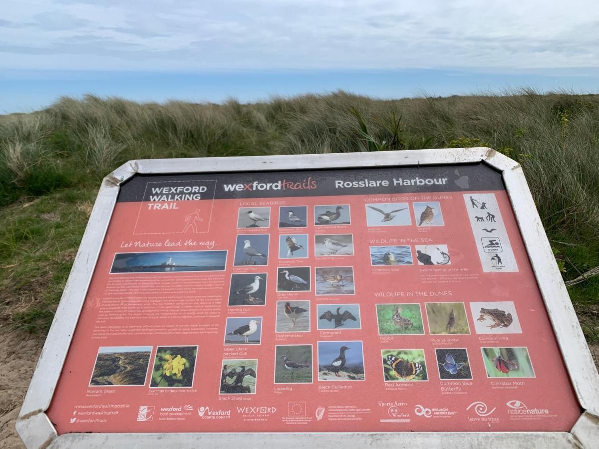 St Martin'S, Rosslare Harbour Guest Accommodation מראה חיצוני תמונה